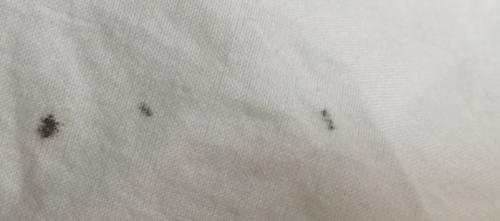 Легкие и Надежные Способы Закрыть Мебель На Время Ремонта 06 Легкие и Надежные Способы Закрыть Мебель На Время Ремонта 06