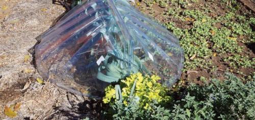 Какой вариант укрытия самый бюджетный. Особенности укрытий в зависимости от климата