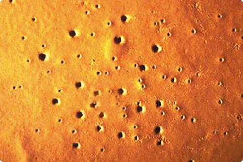 Чем лучше закрыть стены после ремонта: советы профессионалов 09