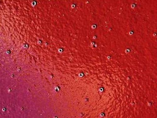 Чем лучше закрыть стены после ремонта: советы профессионалов 10