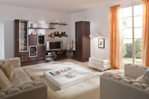 Угловая стенка в зал с телевизором. Общие характеристики