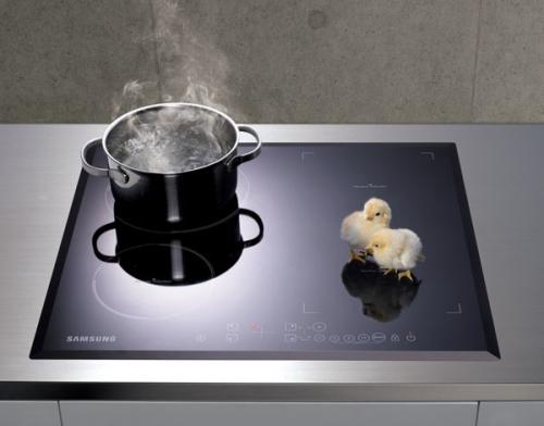 Стеклокерамика или индукционная плита. Преимущества и недостатки индукционной варочной панели