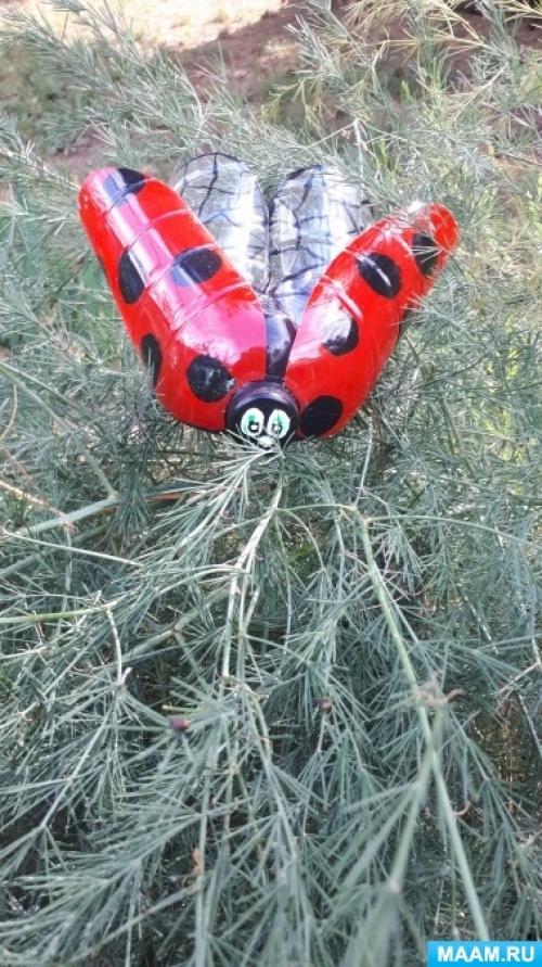 Как сделать божью коровку из пластиковой бутылки. Мастер-класс по изготовлению поделки из пластиковой бутылки «Божья коровка»