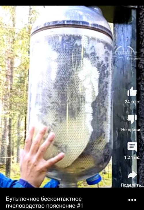 Пчеловодство в бутылке. Ускоренный курс молодого пчеловода