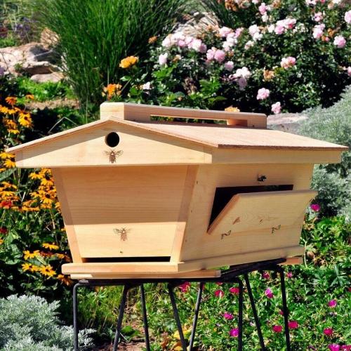 Поделка из пластиковой бутылки своими руками пчелка. Как сделать из пластиковой бутылки пчелу? 20 Поделка из пластиковой бутылки своими руками пчелка. Как сделать из пластиковой бутылки пчелу? 20