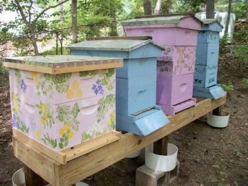 Поделка из пластиковой бутылки своими руками пчелка. Как сделать из пластиковой бутылки пчелу? 17 Поделка из пластиковой бутылки своими руками пчелка. Как сделать из пластиковой бутылки пчелу? 17