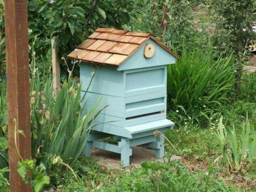 Поделка из пластиковой бутылки своими руками пчелка. Как сделать из пластиковой бутылки пчелу? 19 Поделка из пластиковой бутылки своими руками пчелка. Как сделать из пластиковой бутылки пчелу? 19