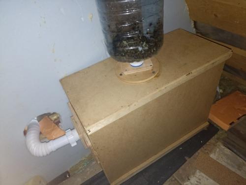 Разведение пчел в бутылке. Ускоренный курс молодого пчеловода