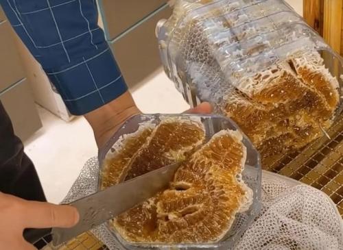 Безрамочный пчелопакет в бутылке. Самостоятельное изготовление