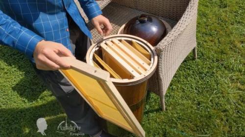 Пчеловодство в бутылке. Преимущества разведения пчел в пластиковых бутылках