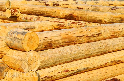 Оцилиндрованное или строганое бревно. Что лучше, сруб из оцилиндрованного или строганного вручную бревна? 02