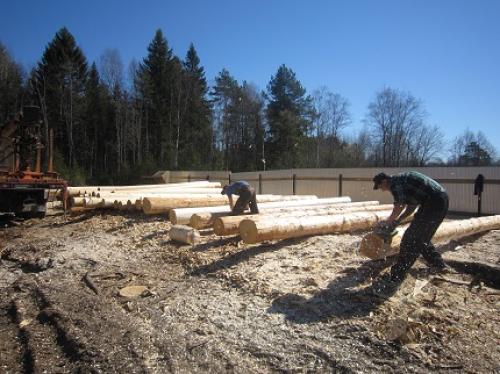 Оцилиндрованное или строганое бревно. Что лучше, сруб из оцилиндрованного или строганного вручную бревна? 08