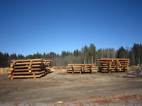 Оцилиндрованное или строганое бревно. Что лучше, сруб из оцилиндрованного или строганного вручную бревна? 06