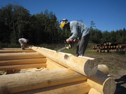 Оцилиндрованное или строганое бревно. Что лучше, сруб из оцилиндрованного или строганного вручную бревна? 11