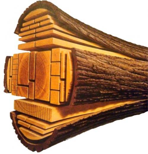 Дома из круглого леса. Лес кругляк, дом из кругляка, особенности строений из кругляка. Как правильно сделать сруб из кругляка Как строить из круглого леса