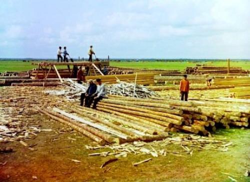 Рубленное бревно особенности производства. История рубленых домов 01 Рубленное бревно особенности производства. История рубленых домов 01