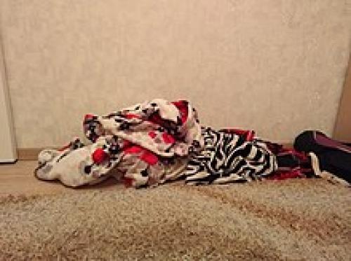 Подробный гайд по выбору одеяла для комфортного сна. Какое одеяло лучше выбрать — 13 наполнителей и 5 критериев 02