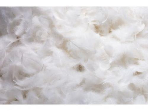 Как выбрать плед и одеяло на зиму. Разновидности по наполнителю 01