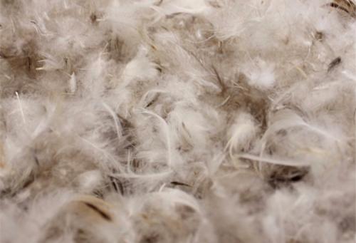 Самое пышное одеяло. Используемые наполнители