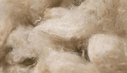 Лучшие одеяла для сна. Понять, какое одеяло является летним – не сложно