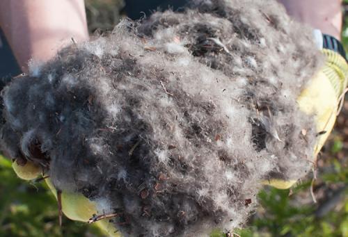 Самое пышное одеяло. Используемые наполнители