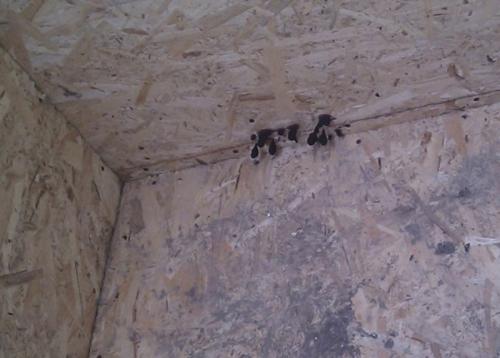 Каркасные дома плюсы и минусы. Минусы каркасных домов