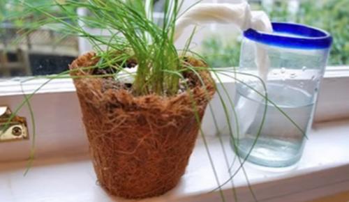 Научные лайфхаки. 10 физических лайфхаков: наука для быта