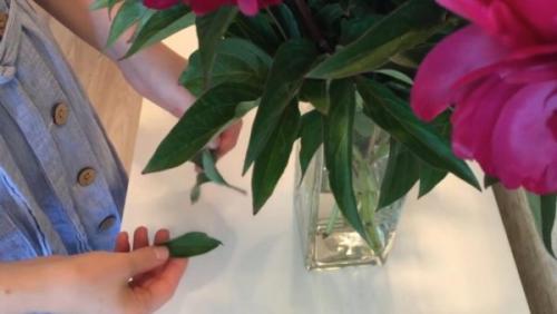 Мои 10 правил для чистоты и порядка в доме. 10 основных правил для чистоты и порядка в доме