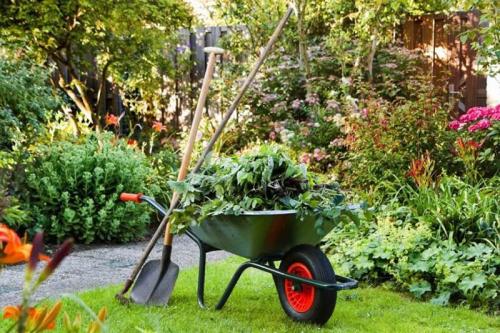 Уход за садом осенью: как выполнять подготовку к зиме?