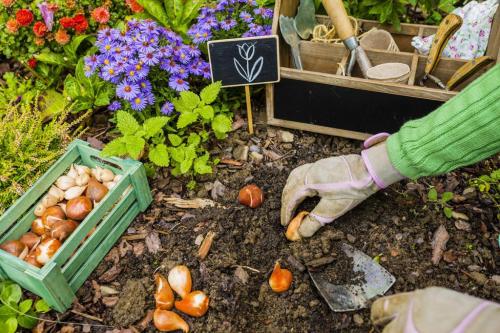 Календарь посевов и посадок на СЕНТЯБРЬ. Удачный ЛУННЫЙ ПОСЕВНОЙ календарь на СЕНТЯБРЬ 2020 года 08