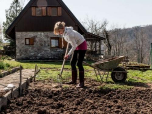 Как сажать клубники осенью. Как и когда сажать клубнику осенью: пошаговая инструкция 06 Как сажать клубники осенью. Как и когда сажать клубнику осенью: пошаговая инструкция 06