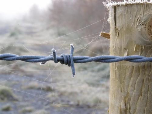 А вы знали об этом? 01