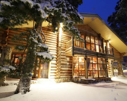 Какие материалы используются для строительства стен деревянного дома. Правильный выбор материала для возведения деревянного дома