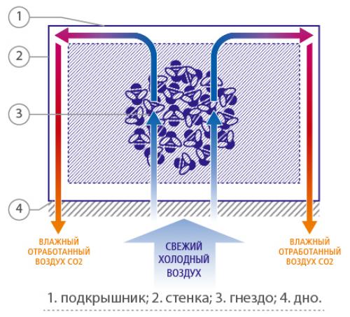Как организовать вентиляцию в улье из пластиковой бутылки. Вентиляция в ульях из пенополиуретана