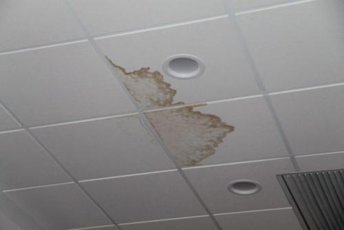 Какие типы клея используются для поклейки потолочной плитки. Виды клея для потолочной плитки