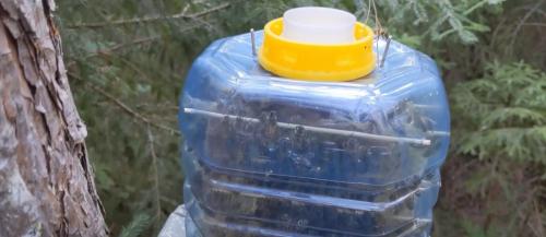 Пчела из пластиковых бутылок: новый подход к упаковке 22 Пчела из пластиковых бутылок: новый подход к упаковке 22