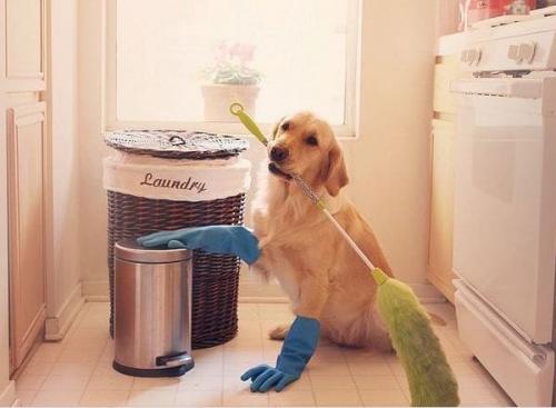 Какие из этих лайфхаков могут помочь мне сохранить чистоту в труднодоступных местах. 8 лайфхаков по уборке в труднодоступных местах