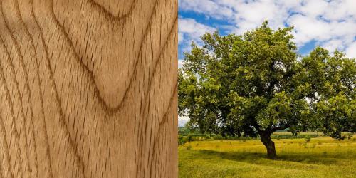 Создание изголовья кровати из дерева: от идеи до реализации 03