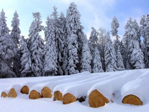 Какие свойства должно иметь цилиндрическое бревно. Характеристика и размеры оцилиндрованных бревен