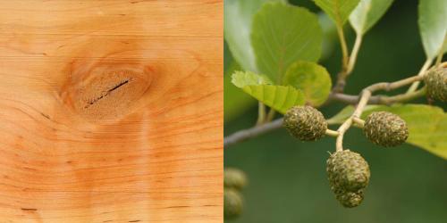 Создание изголовья кровати из дерева: от идеи до реализации 01