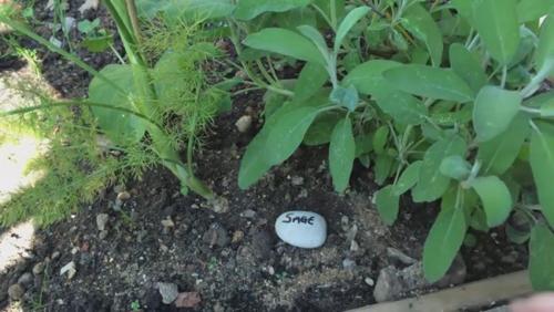 Лайфхаки для дачи бери и делай. Бери и делай полезные советы для дачи