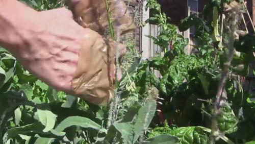 Лайфхаки для дачи бери и делай. Бери и делай полезные советы для дачи