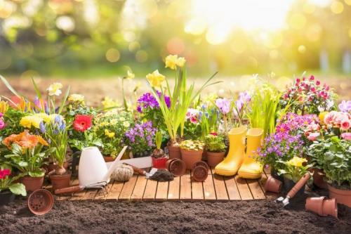 Простые лайфхаки для дачи. 30 полезных лайфхаков для дачи своими руками