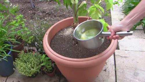 Лайфхаки для дачи бери и делай. Бери и делай полезные советы для дачи