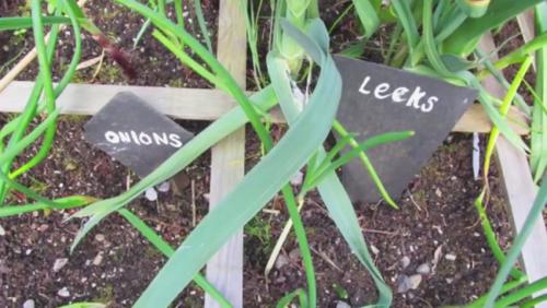 Лайфхаки для дачи бери и делай. Бери и делай полезные советы для дачи