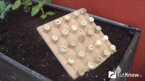 20 простых и бюджетных идей для украшения дачи. Клумбы 21