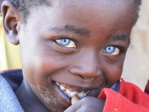 Какие племена наиболее популярны среди игроков