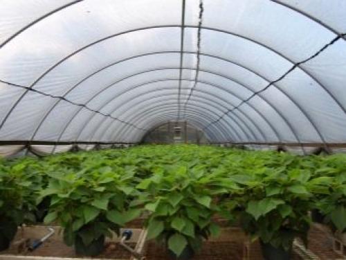 Укрывная пленка для пола при ремонте. Виды 09 Укрывная пленка для пола при ремонте. Виды 09