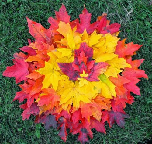 Примеры осеннего декора в доме. Предлагаю культивировать любовь к осени с помощью сезонного декора интерьера и по-настоящему наслаждаться этой порой 17 Примеры осеннего декора в доме. Предлагаю культивировать любовь к осени с помощью сезонного декора интерьера и по-настоящему наслаждаться этой порой 17