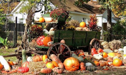 Осенний декор двора. Осеннее оформление сада и дома